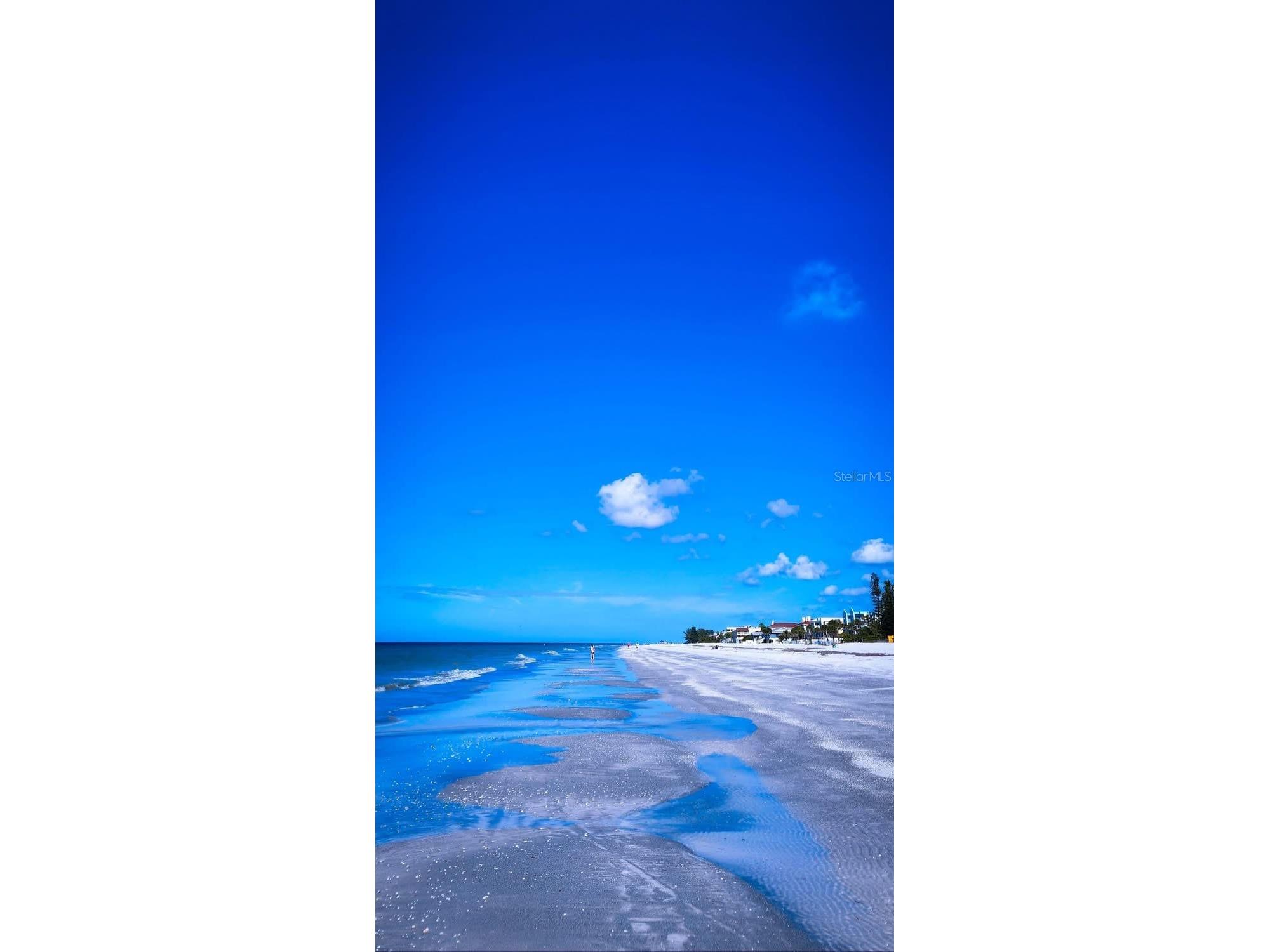 19701 Gulf Boulevard #307 Indian Shores FL 33785 TB8499267 image71