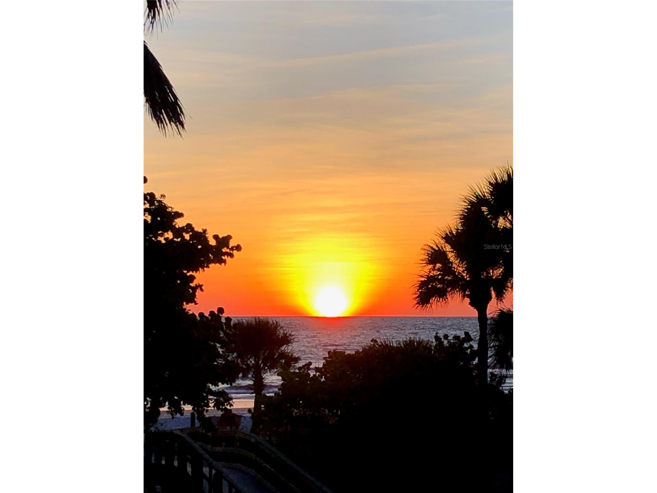 19701 Gulf Boulevard #307 Indian Shores FL 33785 TB8499267 image73