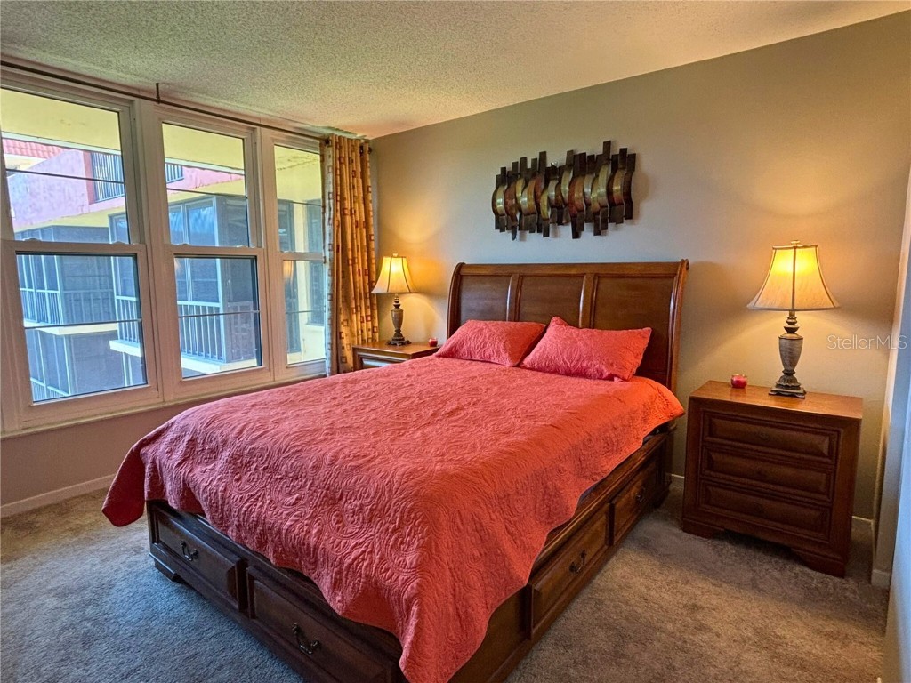 19701 Gulf Boulevard #407 Indian Shores FL 33785 TB8444600 image14