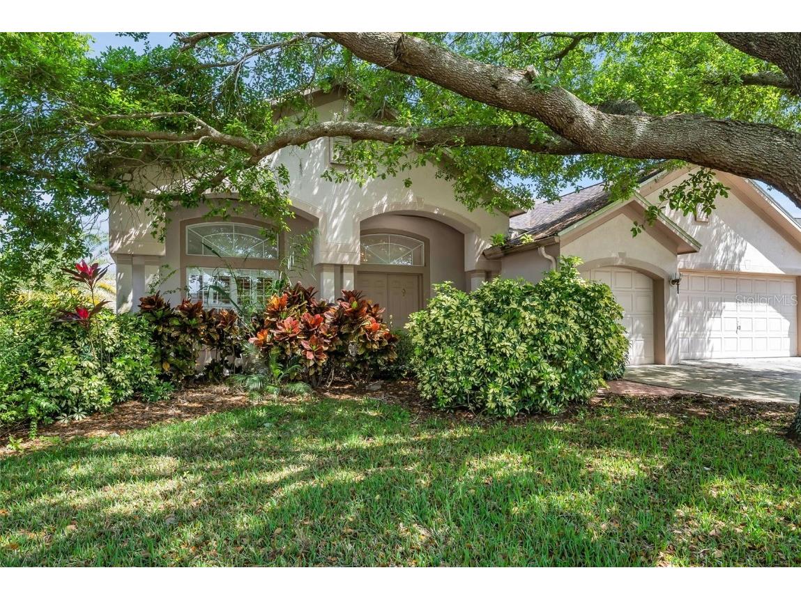 19705 Wyndcliff Drive Odessa FL 33556 T3511917 image1