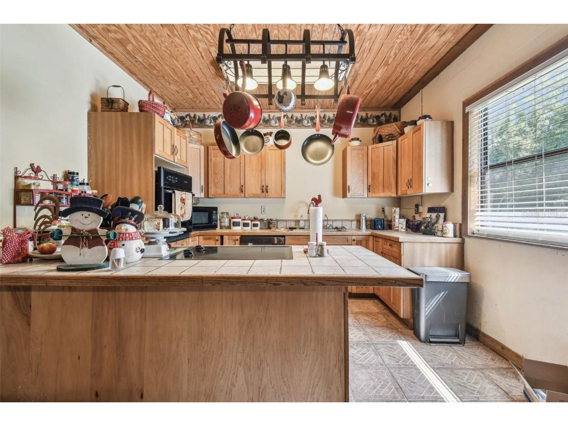 19708 Bower Road Dade City FL 33523 TB8381314 image56