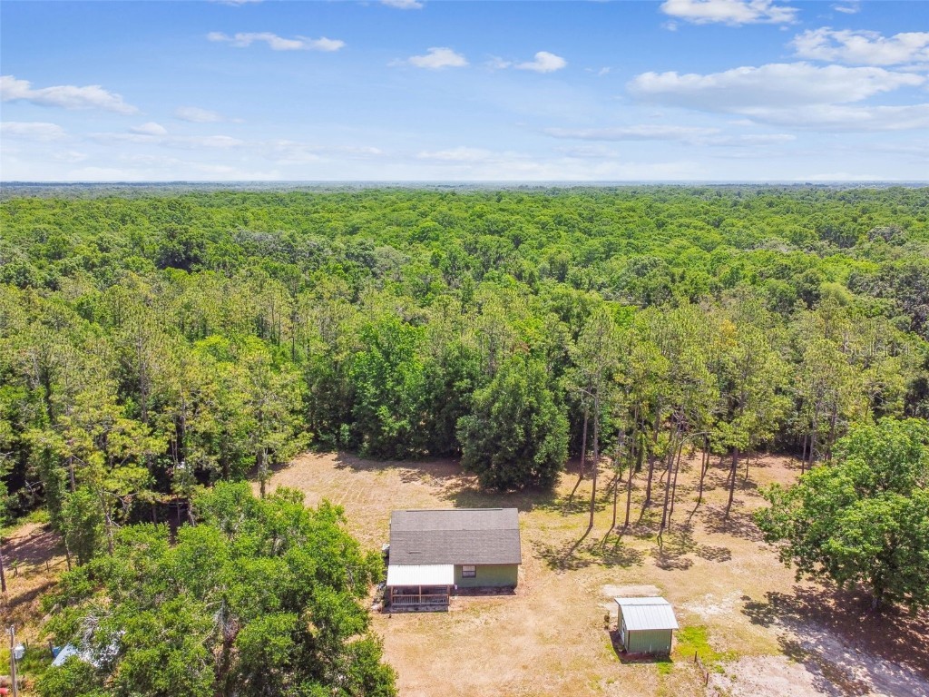 19708 Bower Road Dade City FL 33523 TB8381314 image79