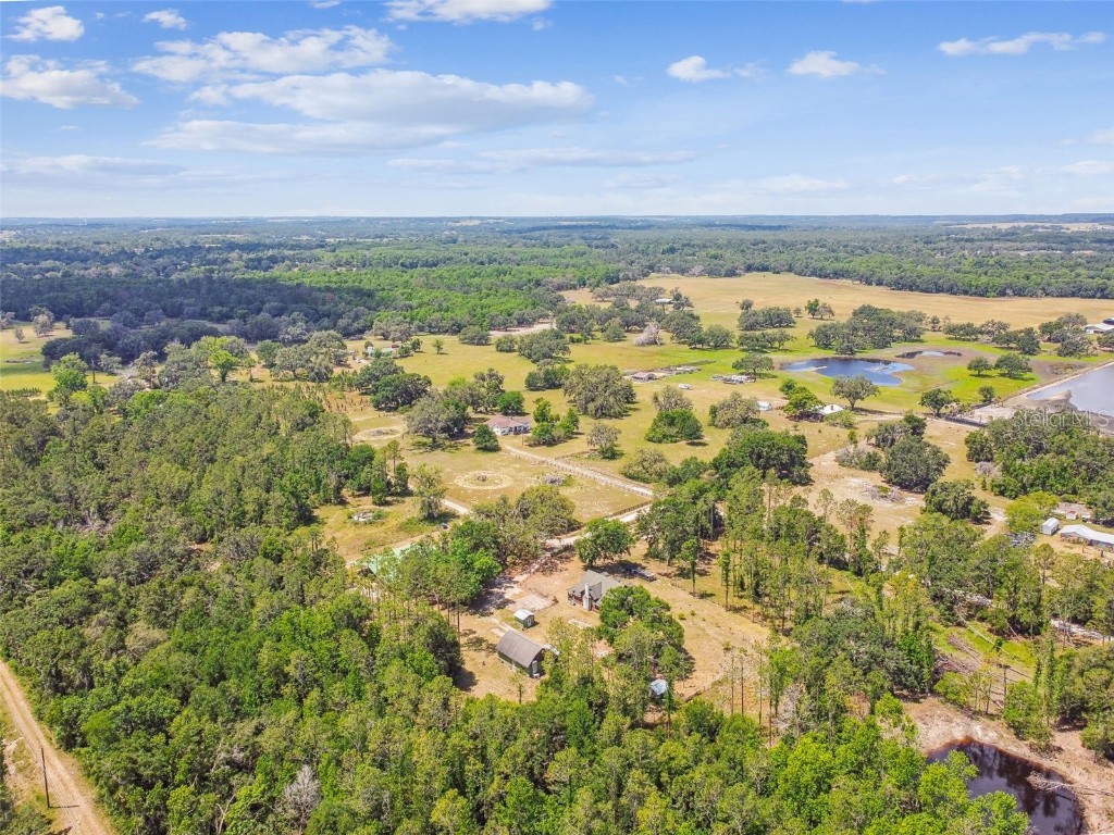 19708 Bower Road Dade City FL 33523 TB8381314 image83