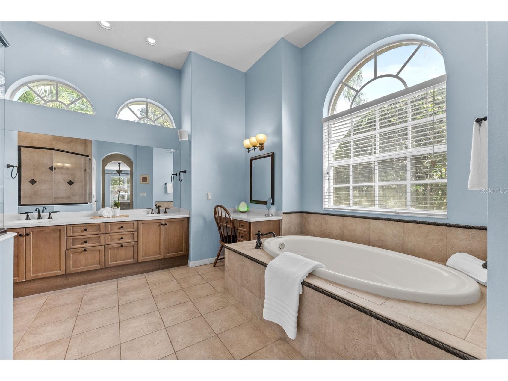 19708 Wellington Manor Boulevard Lutz FL 33549 TB8432389 image14