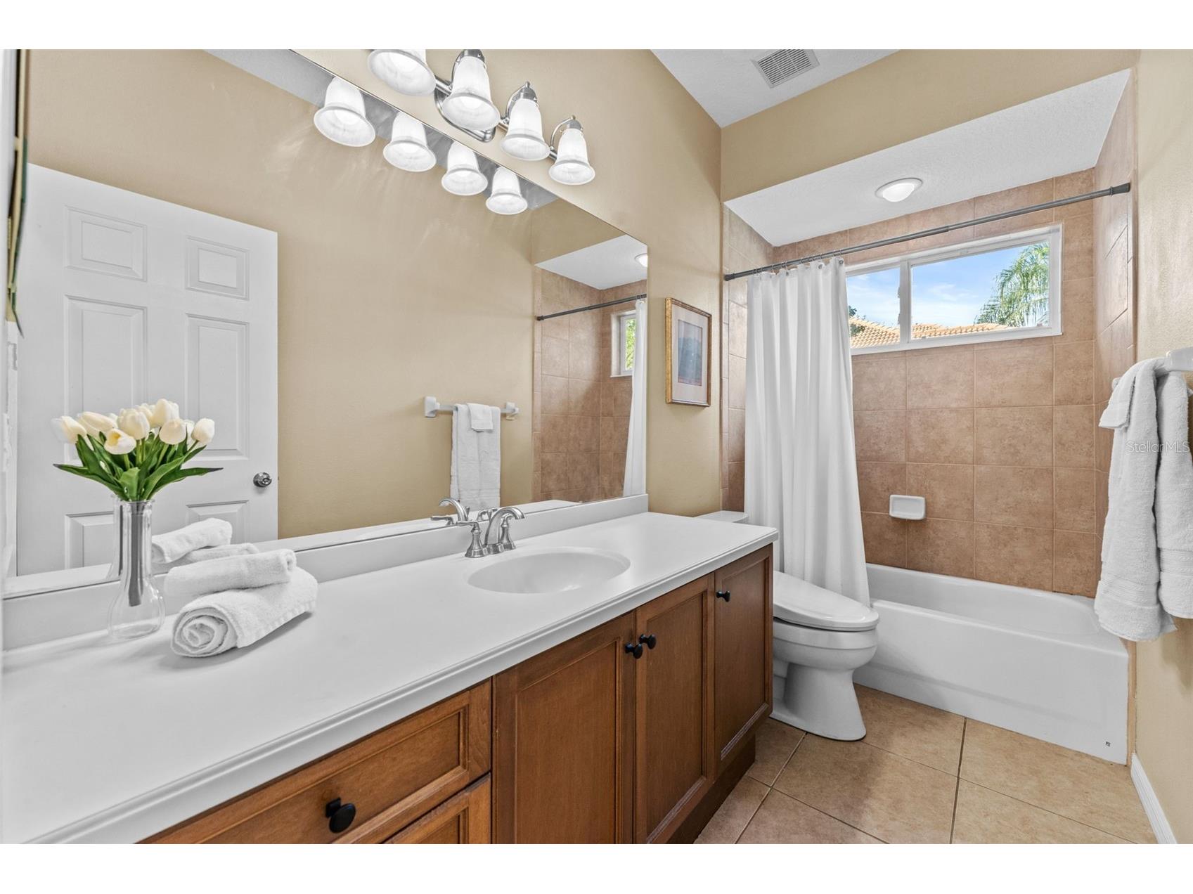 19708 Wellington Manor Boulevard Lutz FL 33549 TB8432389 image18