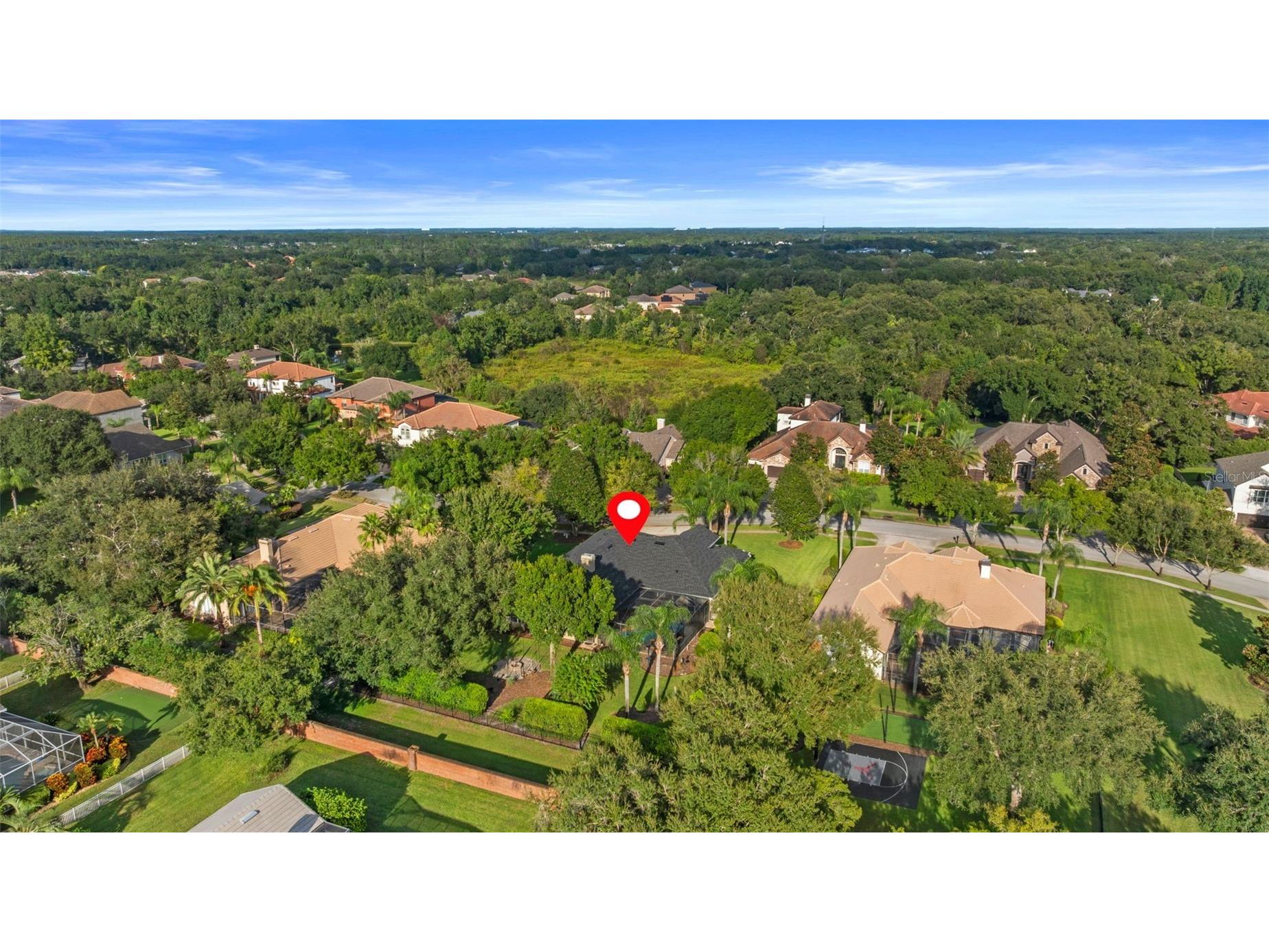 19708 Wellington Manor Boulevard Lutz FL 33549 TB8432389 image37