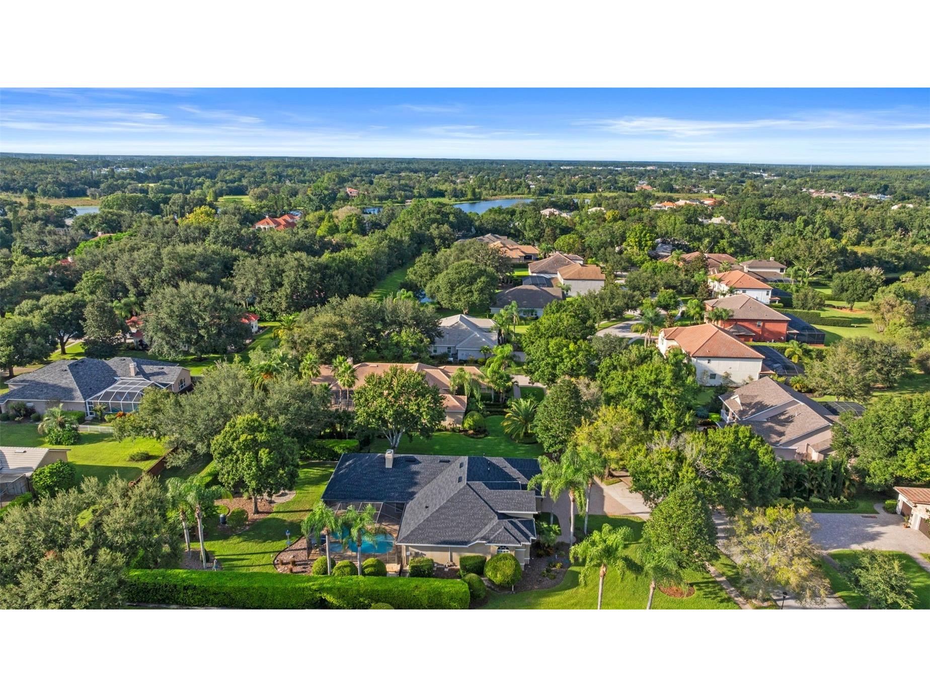 19708 Wellington Manor Boulevard Lutz FL 33549 TB8432389 image38