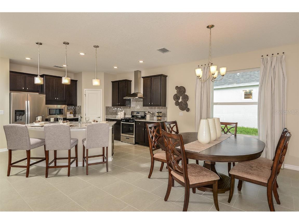 19709 Fort King Run Brooksville FL 34601 A4661975 image7