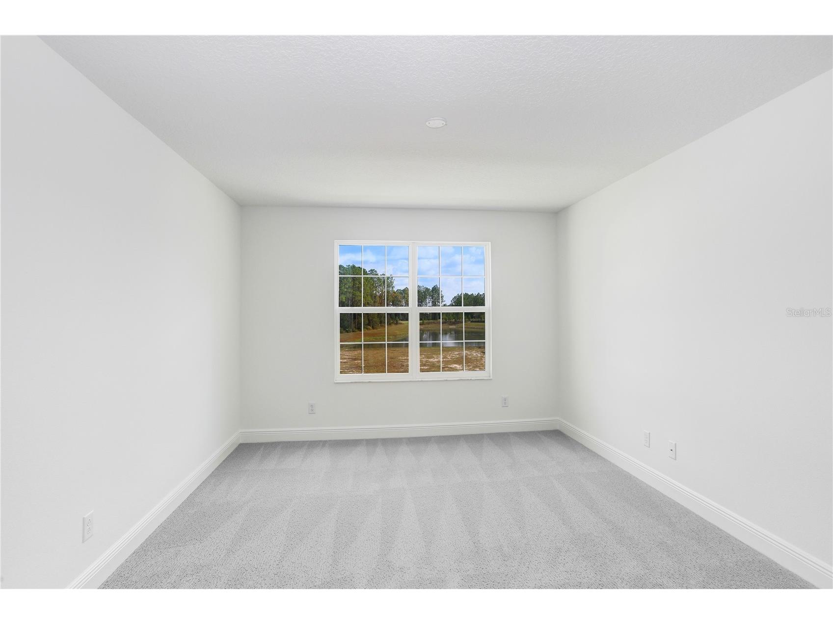 1971 Drummond Point Zephyrhills FL 33541 TB8449082 image41