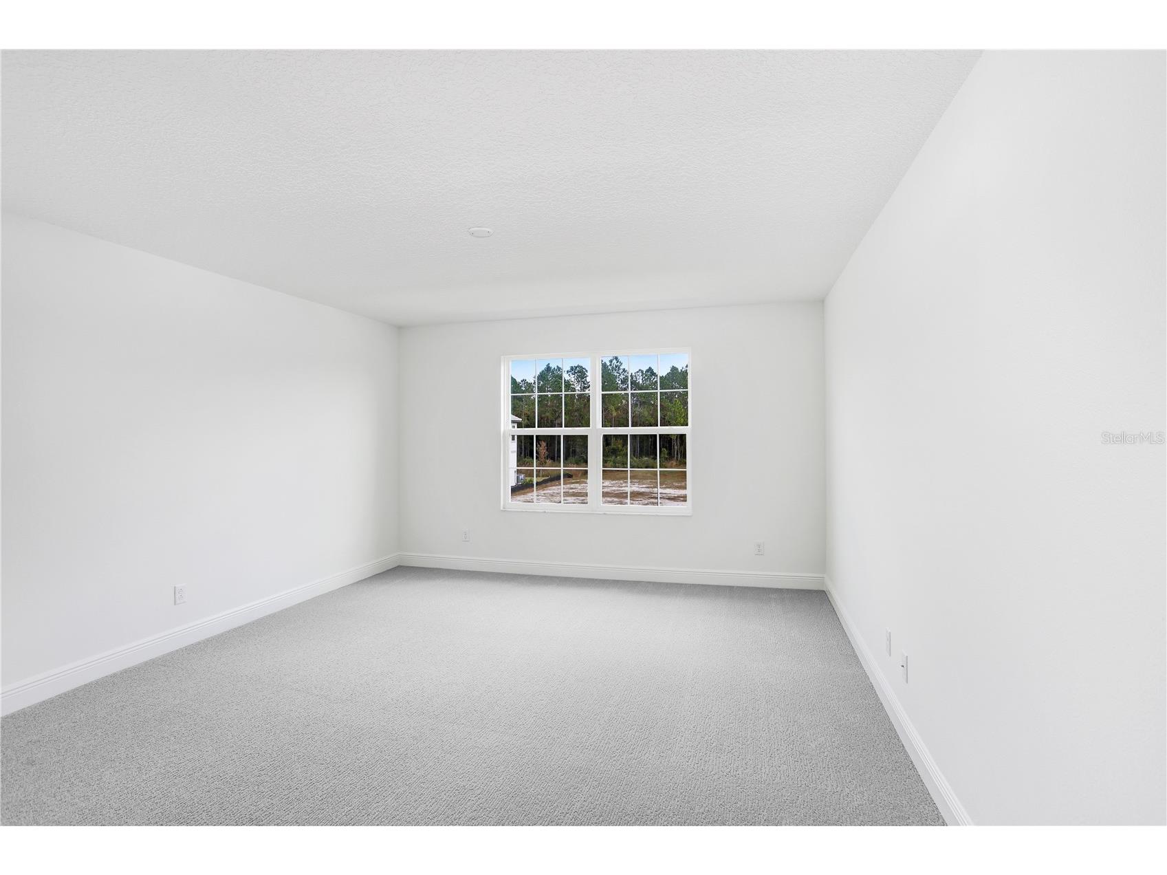 1971 Drummond Point Zephyrhills FL 33541 TB8449082 image46