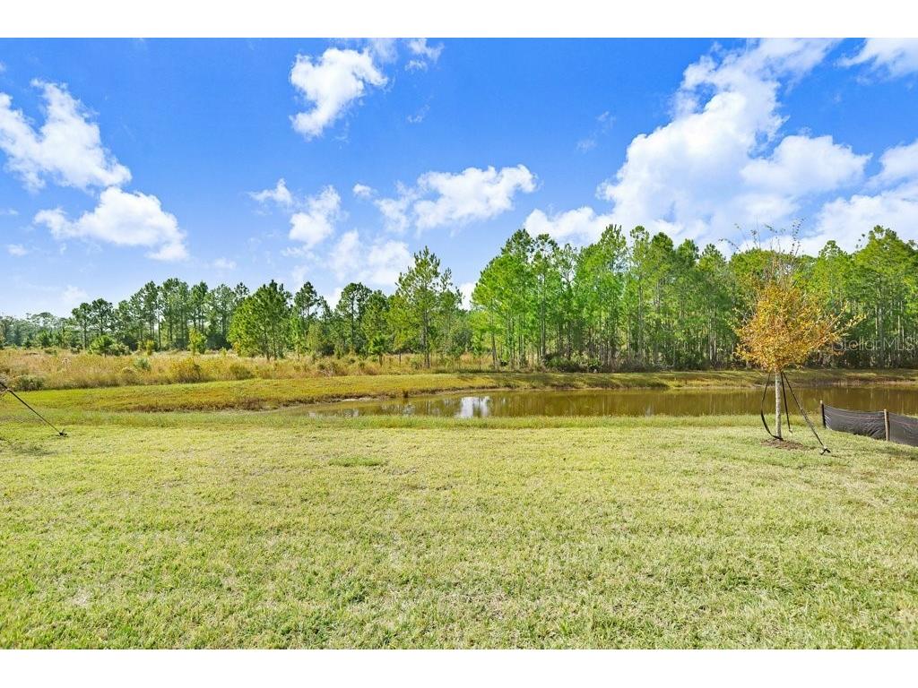 1971 Drummond Point Zephyrhills FL 33541 TB8449082 image48