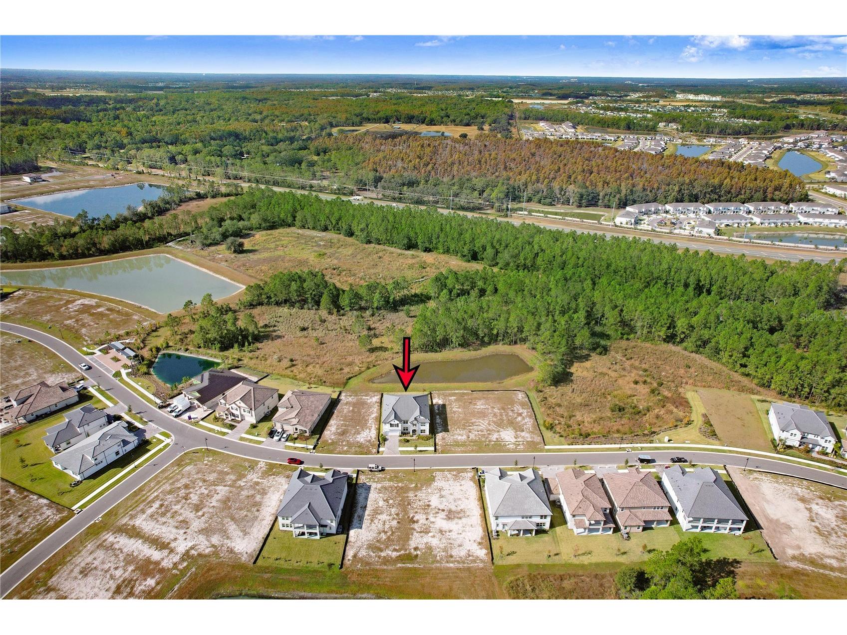 1971 Drummond Point Zephyrhills FL 33541 TB8449082 image59