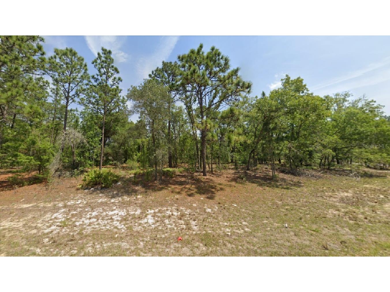 1971 W G Martinelli Boulevard Citrus Springs FL 34434 O6147443 image1