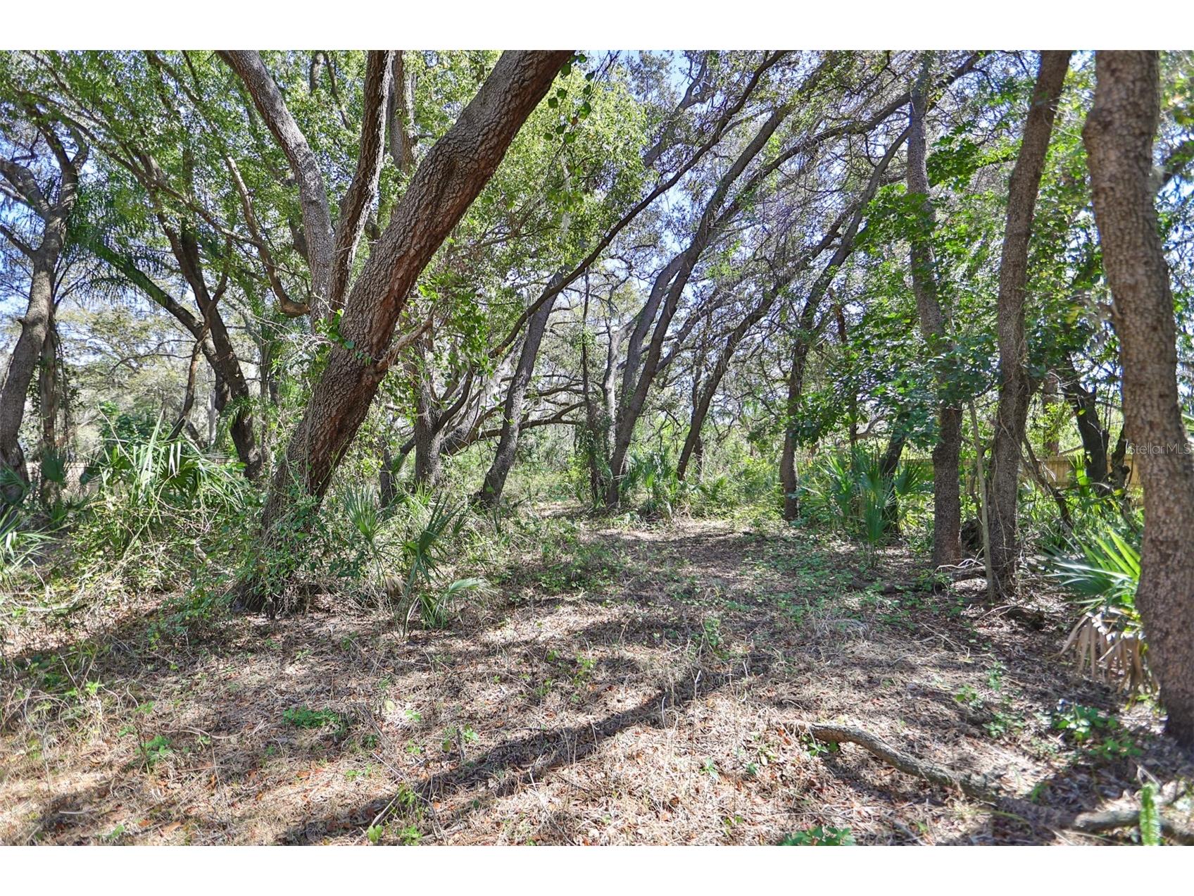 1971 Wolford Road Clearwater FL 33760 TB8472662 image10