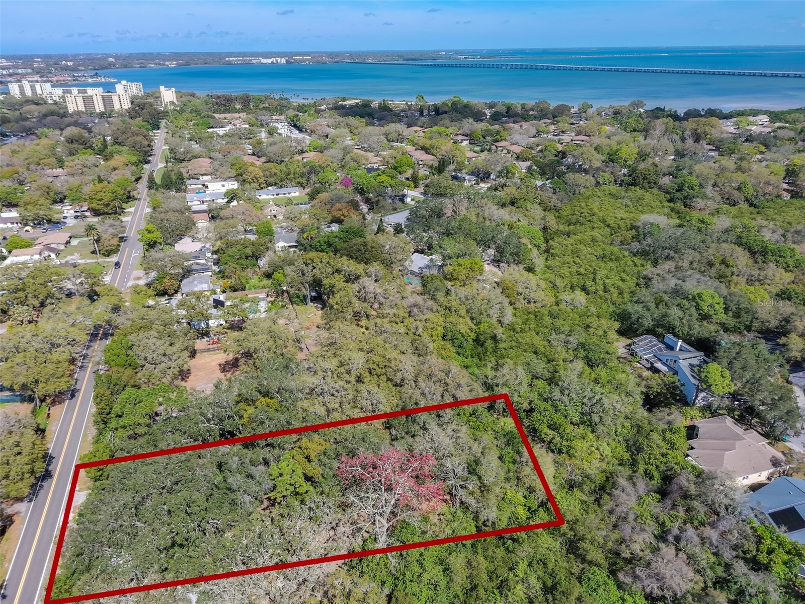 1971 Wolford Road Clearwater FL 33760 TB8472662 image3