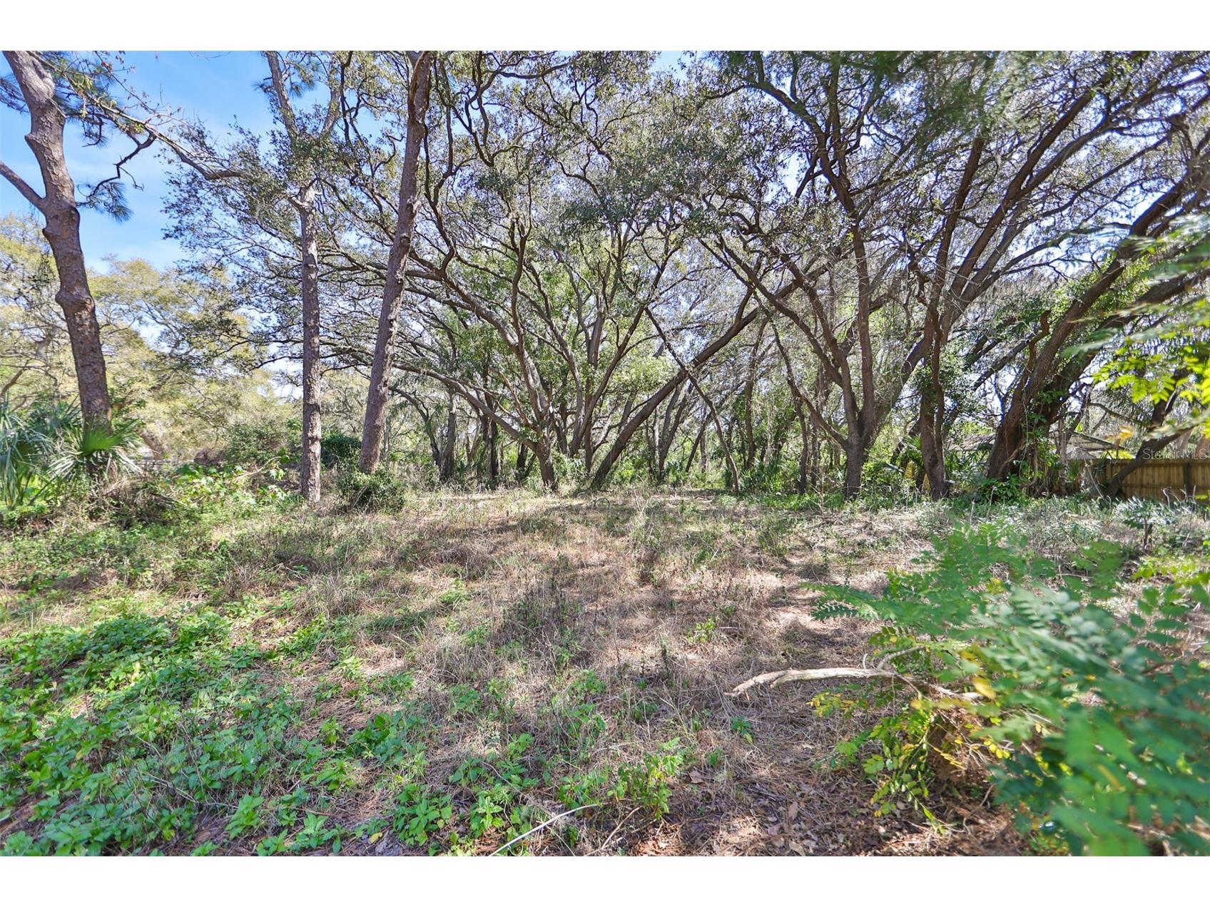 1971 Wolford Road Clearwater FL 33760 TB8472662 image7