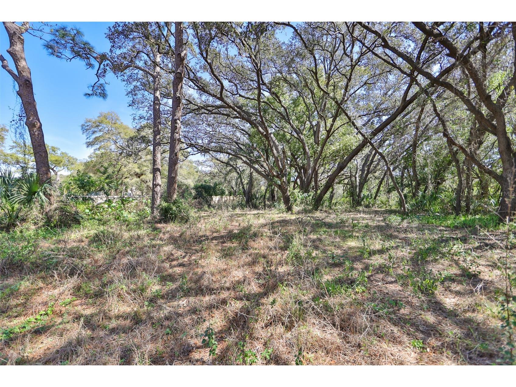 1971 Wolford Road Clearwater FL 33760 TB8472662 image8