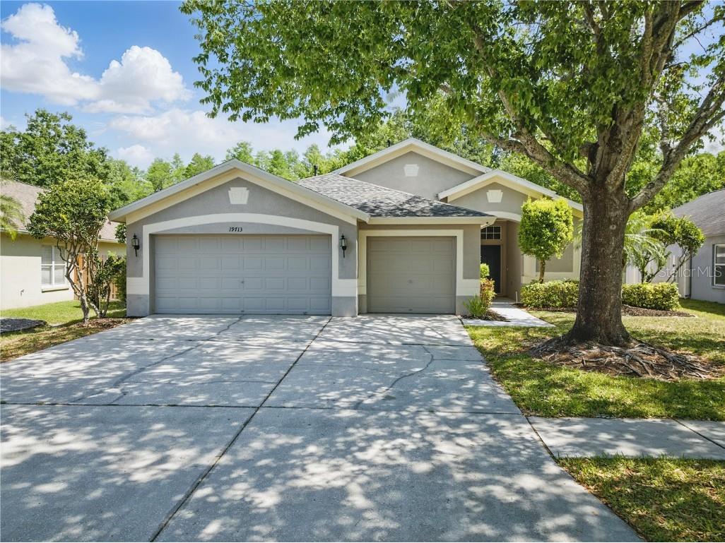 19713 Ellendale Drive Land O Lakes FL 34638 S5125699 image1