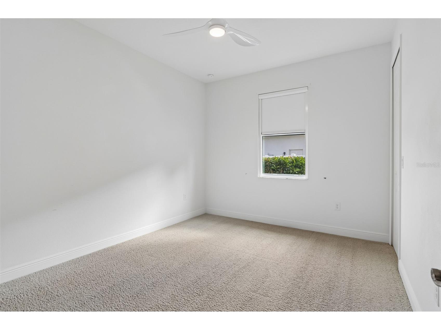 19714 Lonesome Pine Drive Land O Lakes FL 34638 TB8471097 image35