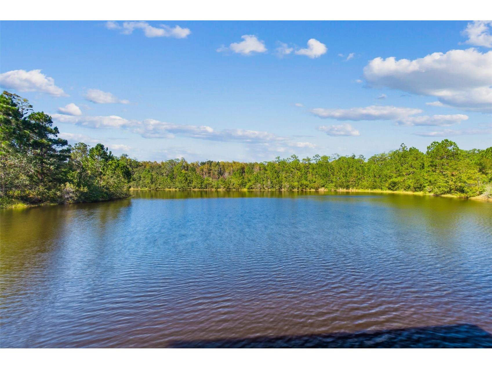 19714 Lonesome Pine Drive Land O Lakes FL 34638 TB8471097 image62
