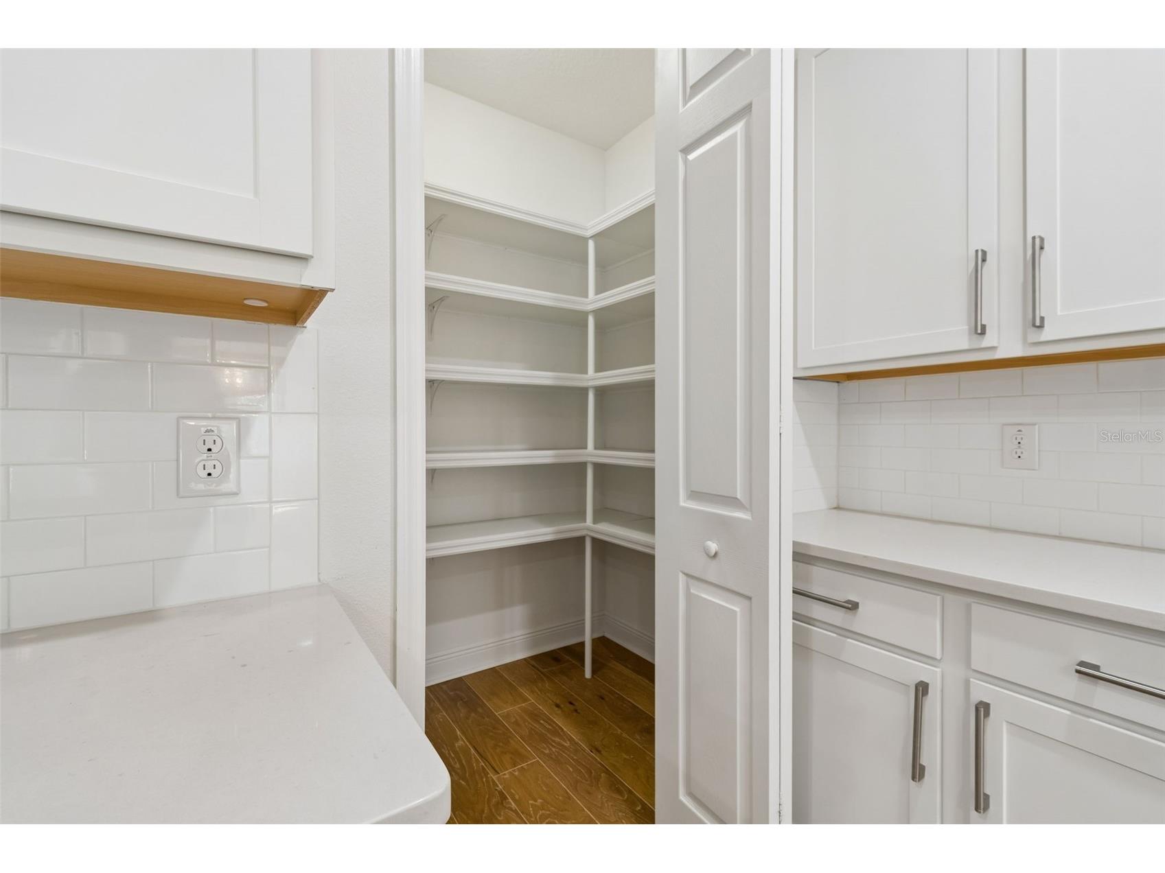 19714 Lonesome Pine Drive Land O Lakes FL 34638 TB8471097 image75