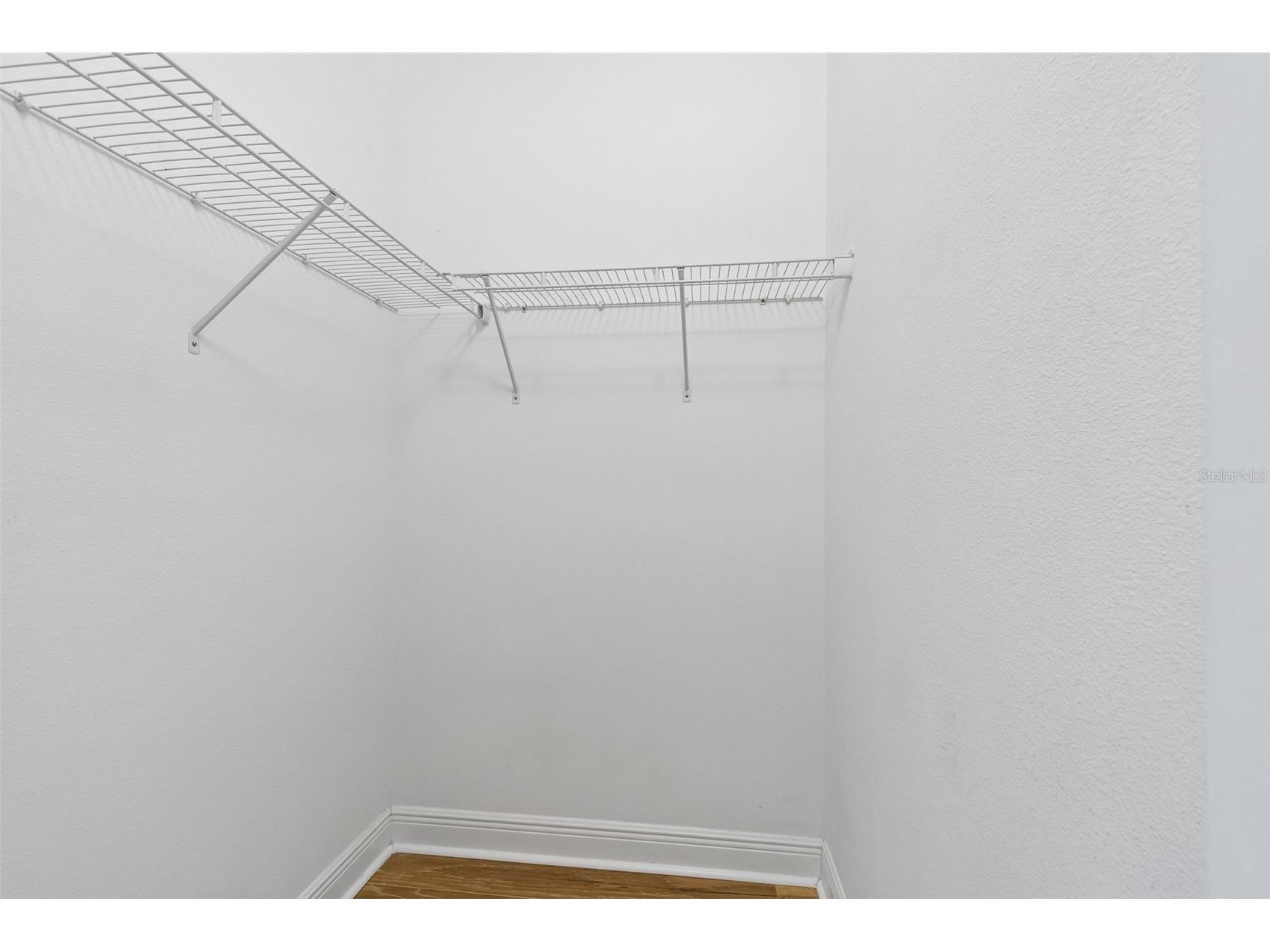 19714 Lonesome Pine Drive Land O Lakes FL 34638 TB8471097 image86