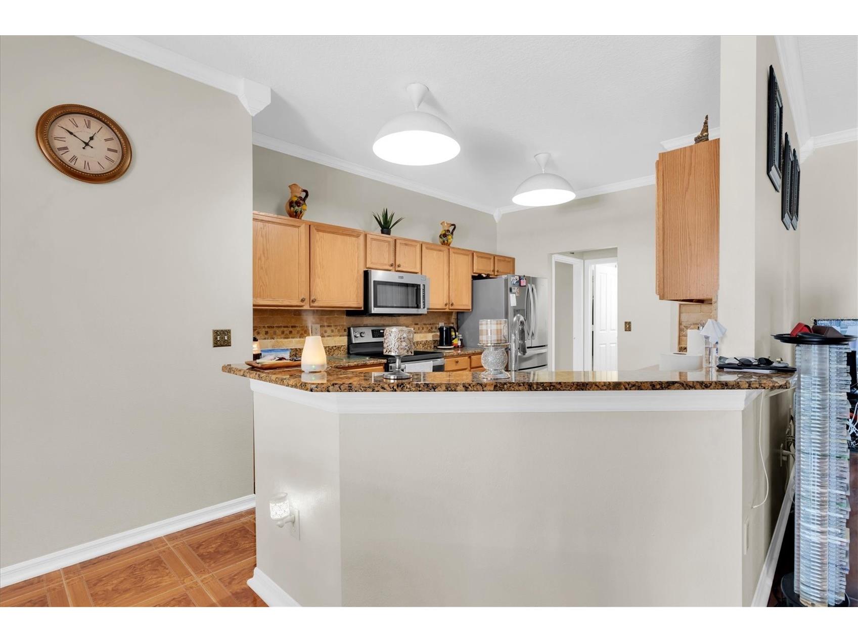 19714 Wyndham Lakes Drive Odessa FL 33556 TB8492195 image10