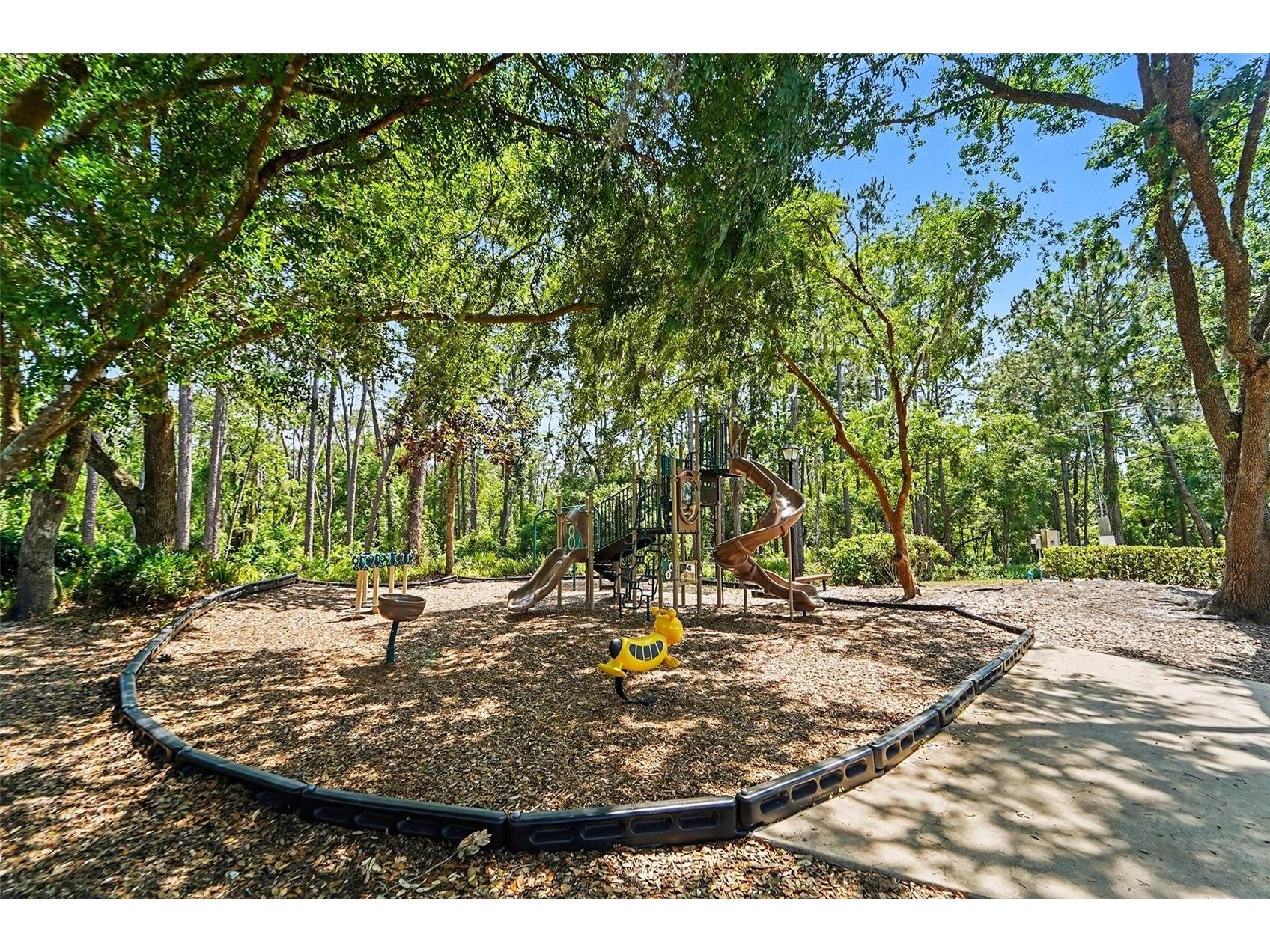 19717 Wyndham Lakes Drive Odessa FL 33556 TB8501948 image27