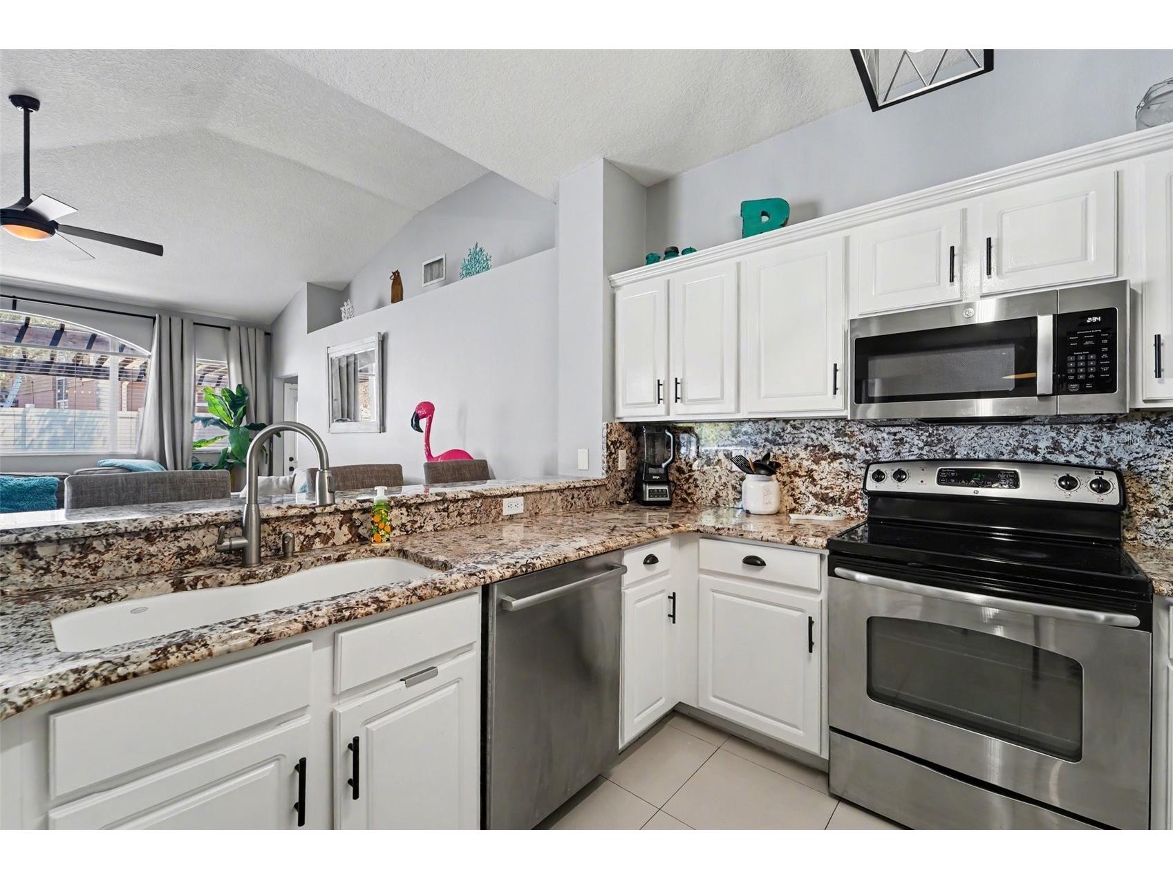 19717 Wyndham Lakes Drive Odessa FL 33556 TB8501948 image6
