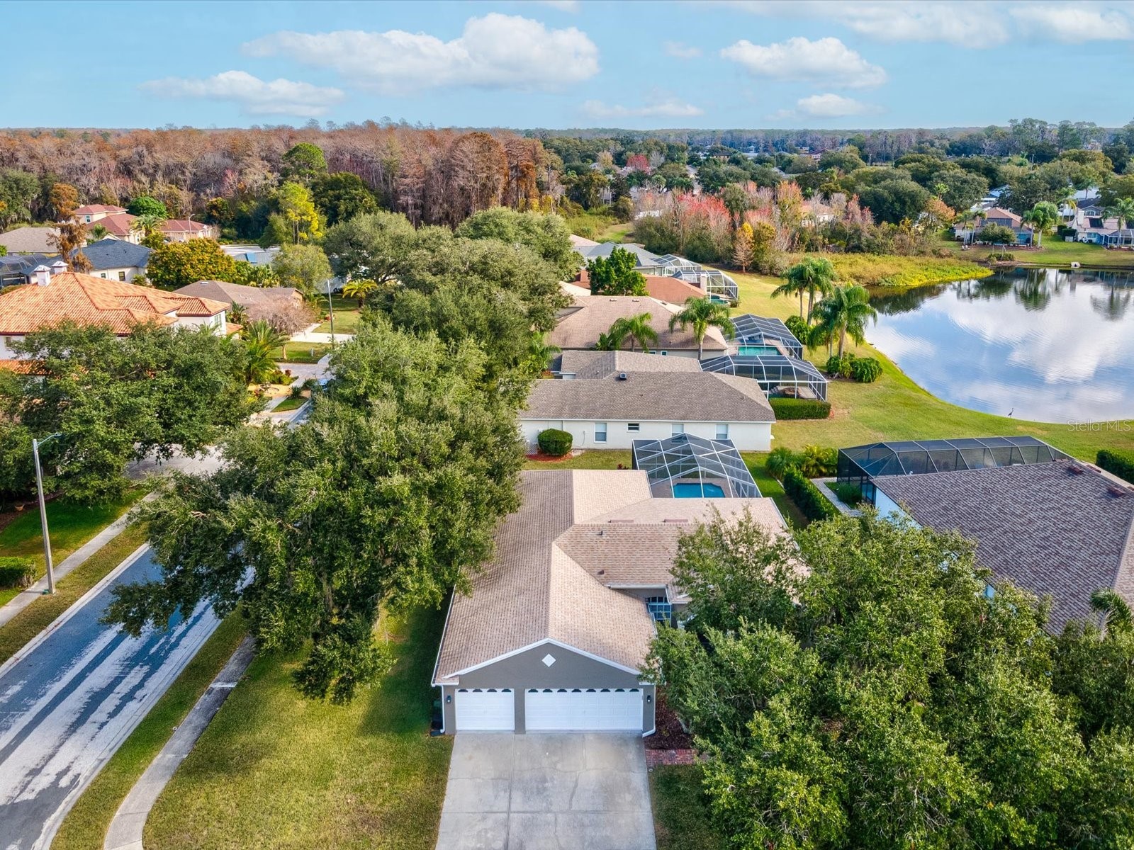 19719 Spring Willow Court Odessa FL 33556 C7520214 image53