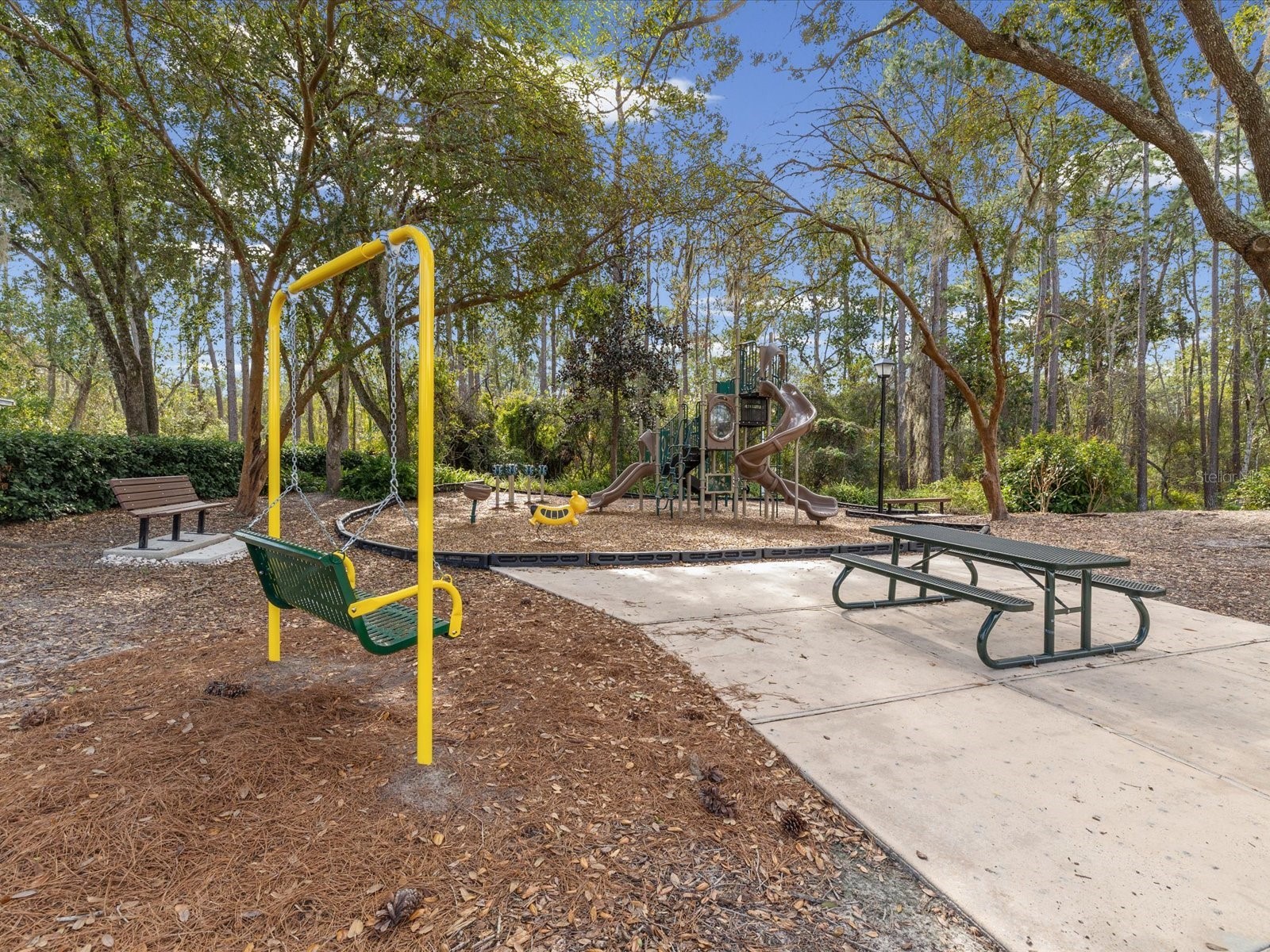 19719 Spring Willow Court Odessa FL 33556 C7520214 image60