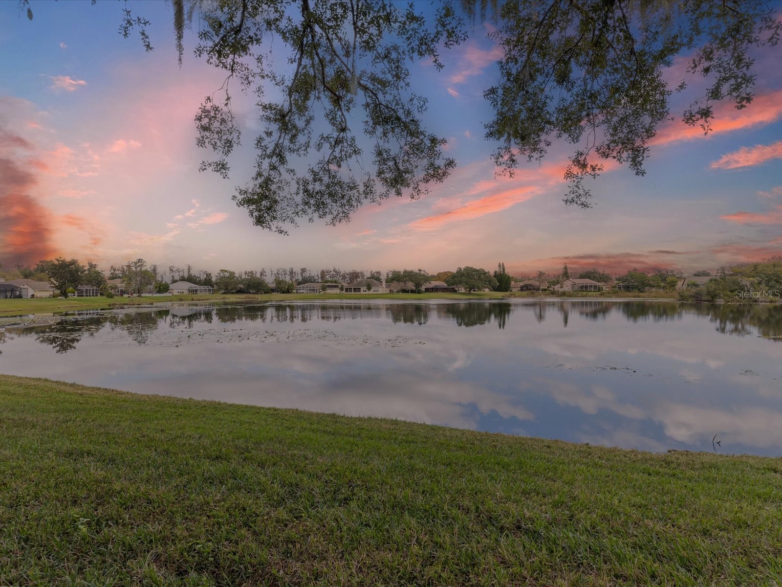 19719 Spring Willow Court Odessa FL 33556 C7520214 image62