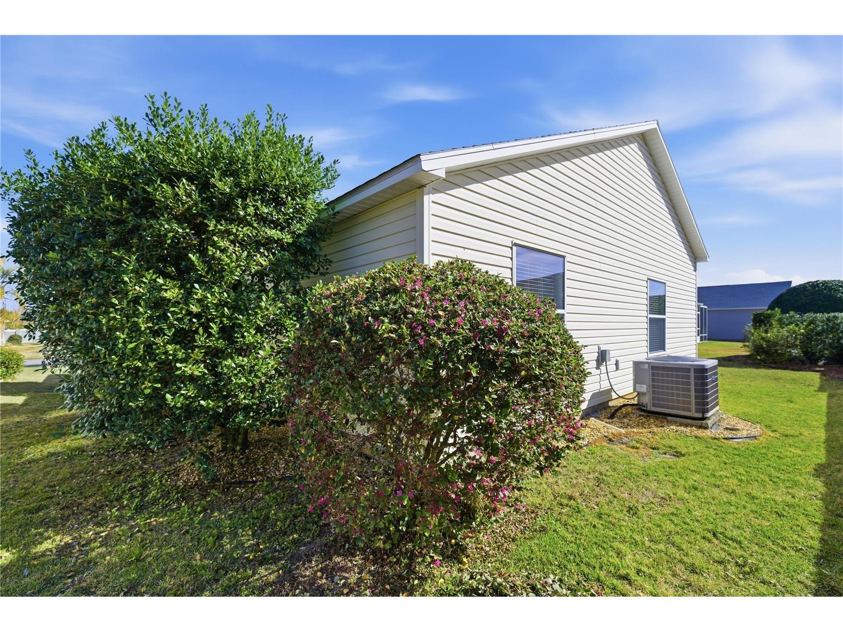 1972 Ashwood Run The Villages FL 32162 OM719850 image18