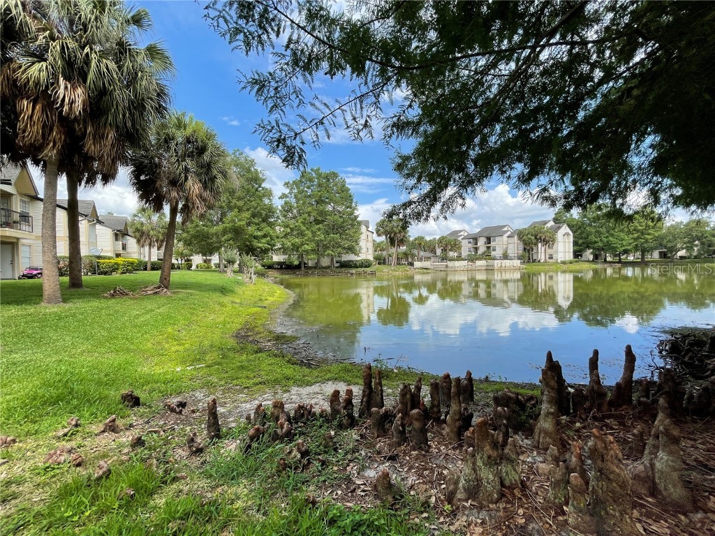 1972 Lake Atriums Circle #181 Orlando FL 32839 O6341677 image21
