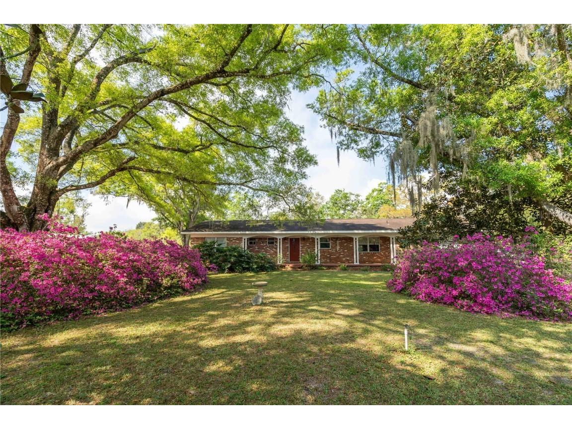 19722 Deer Lake Road Lutz FL 33548 T3422105 image1