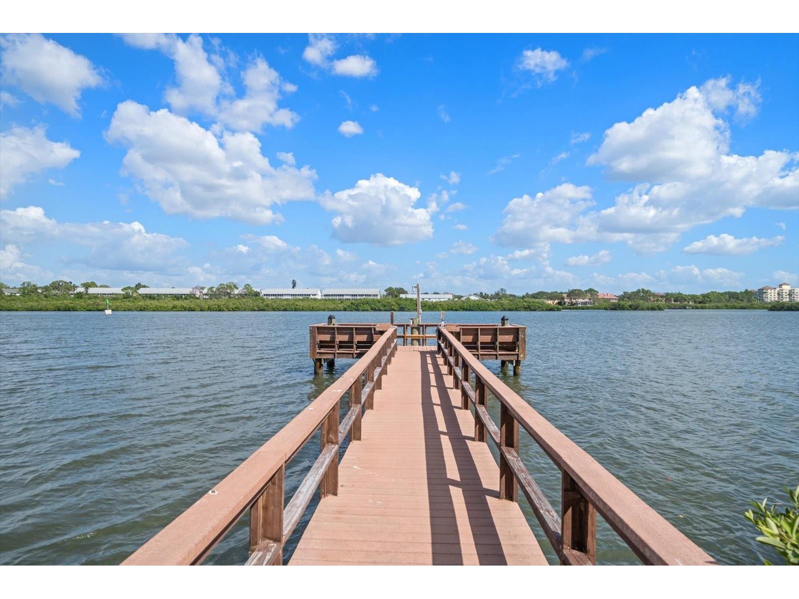 19725 Gulf Boulevard #21 Indian Shores FL 33785 - THE NARROWS TB8436715 image44