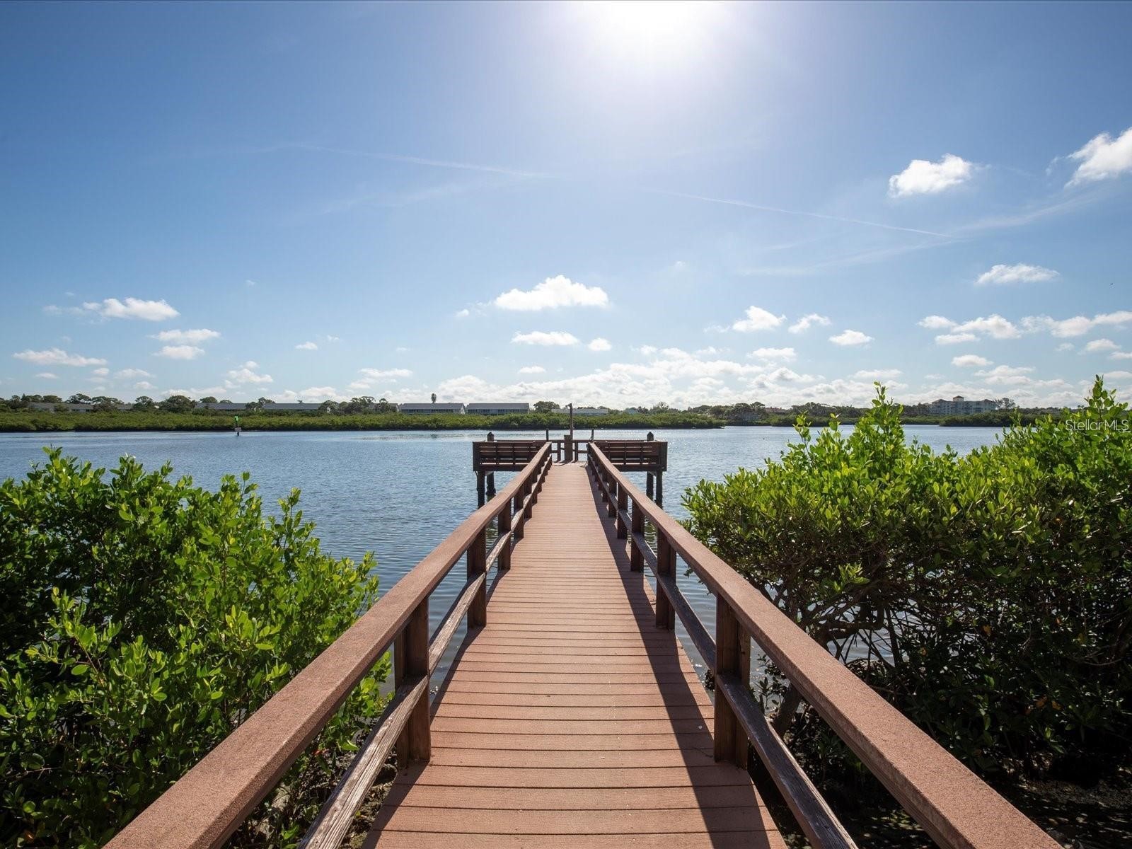 19725 Gulf Boulevard #43 Indian Shores FL 33785 TB8501730 image29