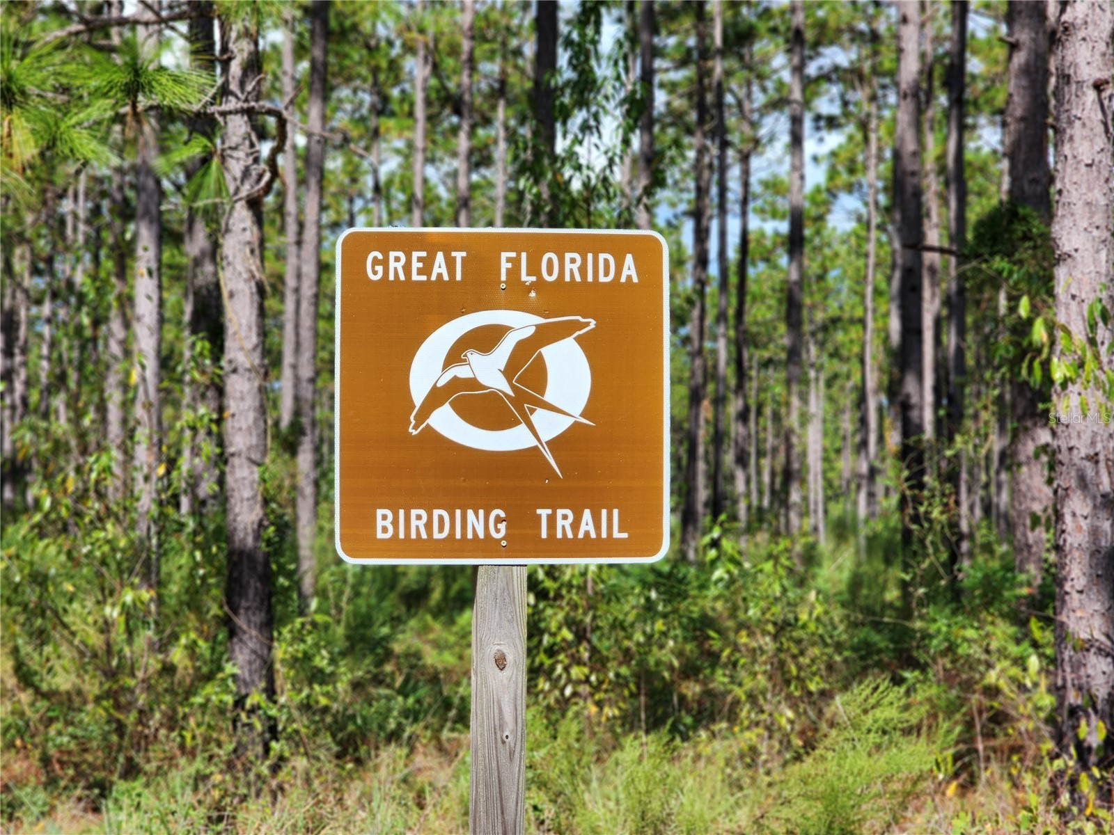 19729 SW Lark Drive Dunnellon FL 34431 - TIGER LK BONABLE LK OM725171 image21