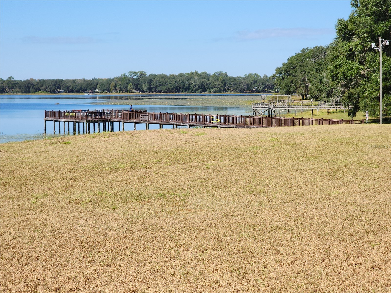 19729 SW Lark Drive Dunnellon FL 34431 - TIGER LK BONABLE LK OM725171 image23