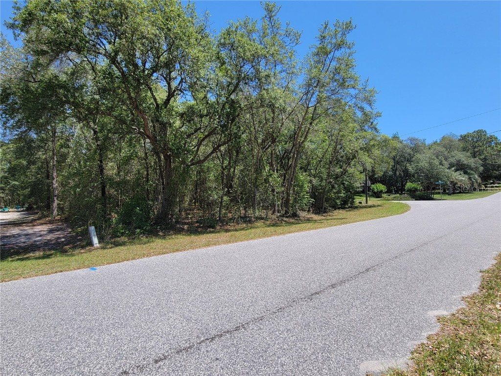 1973 E Celina Street Inverness FL 34453 W7857765 image1