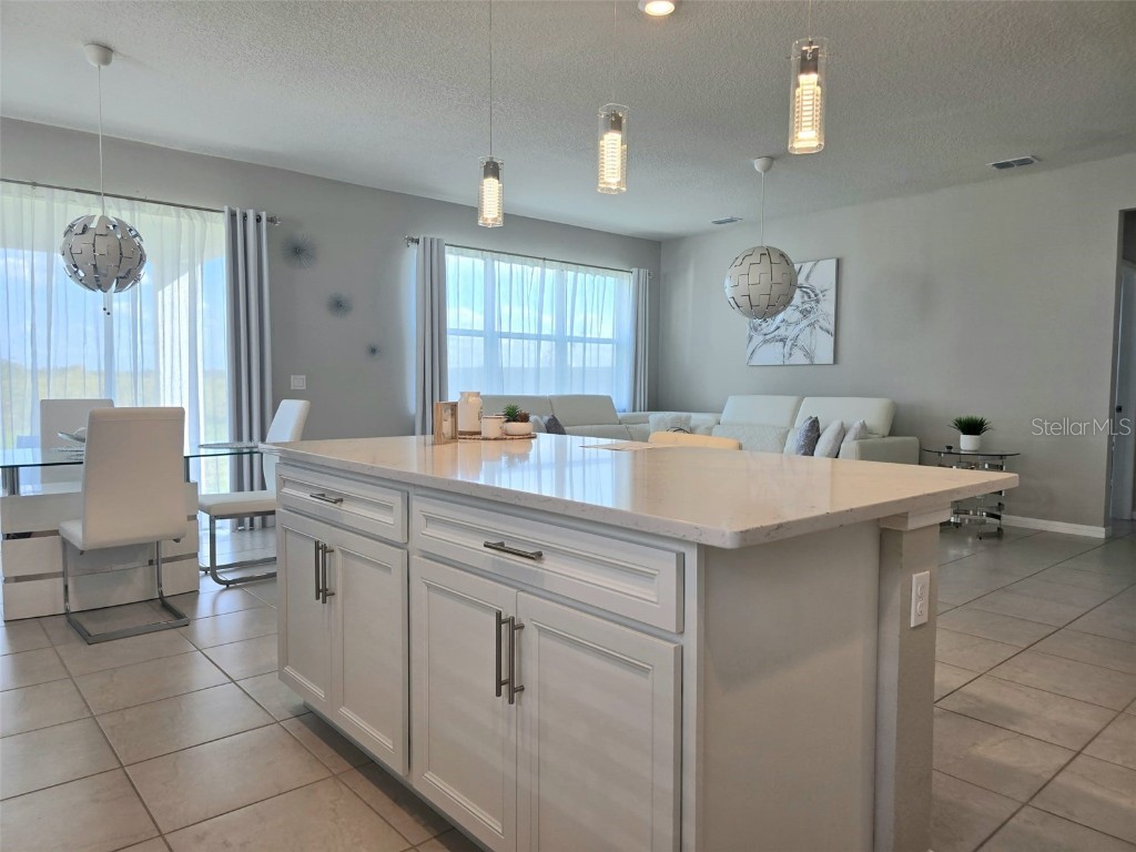 1973 Spring Shower Circle Kissimmee FL 34744 P4936815 image14