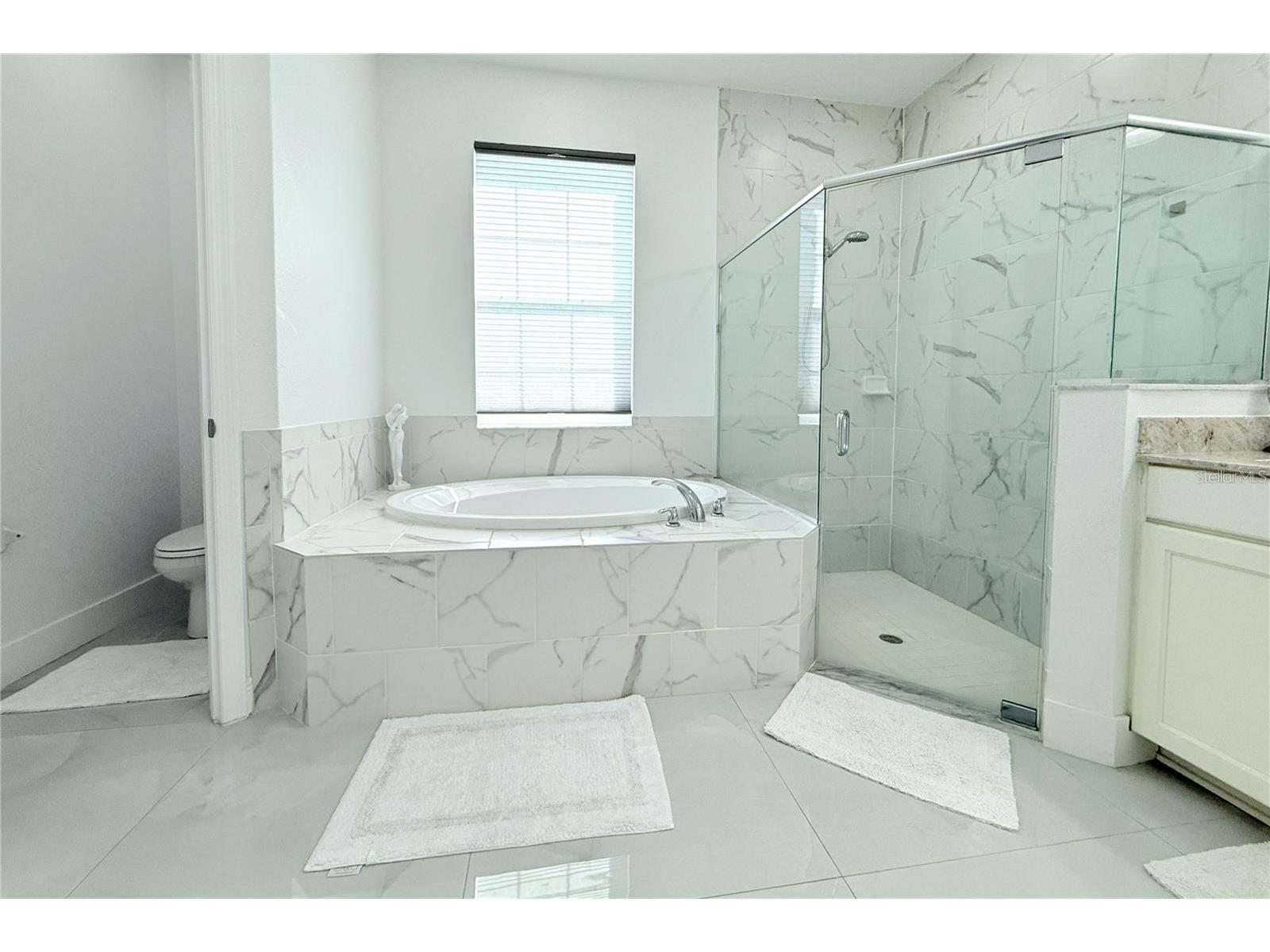 19730 Preservation Woods Drive Lutz FL 33558 TB8467073 image31