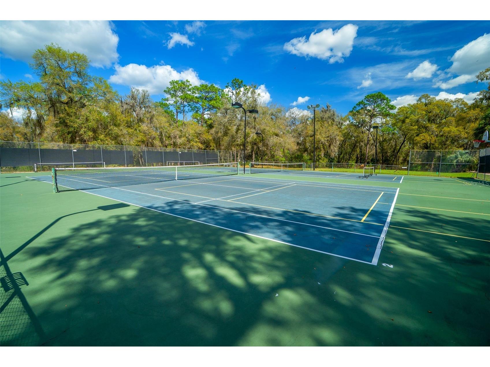 19735 SW 77th Loop Dunnellon FL 34432 OM717245 image72