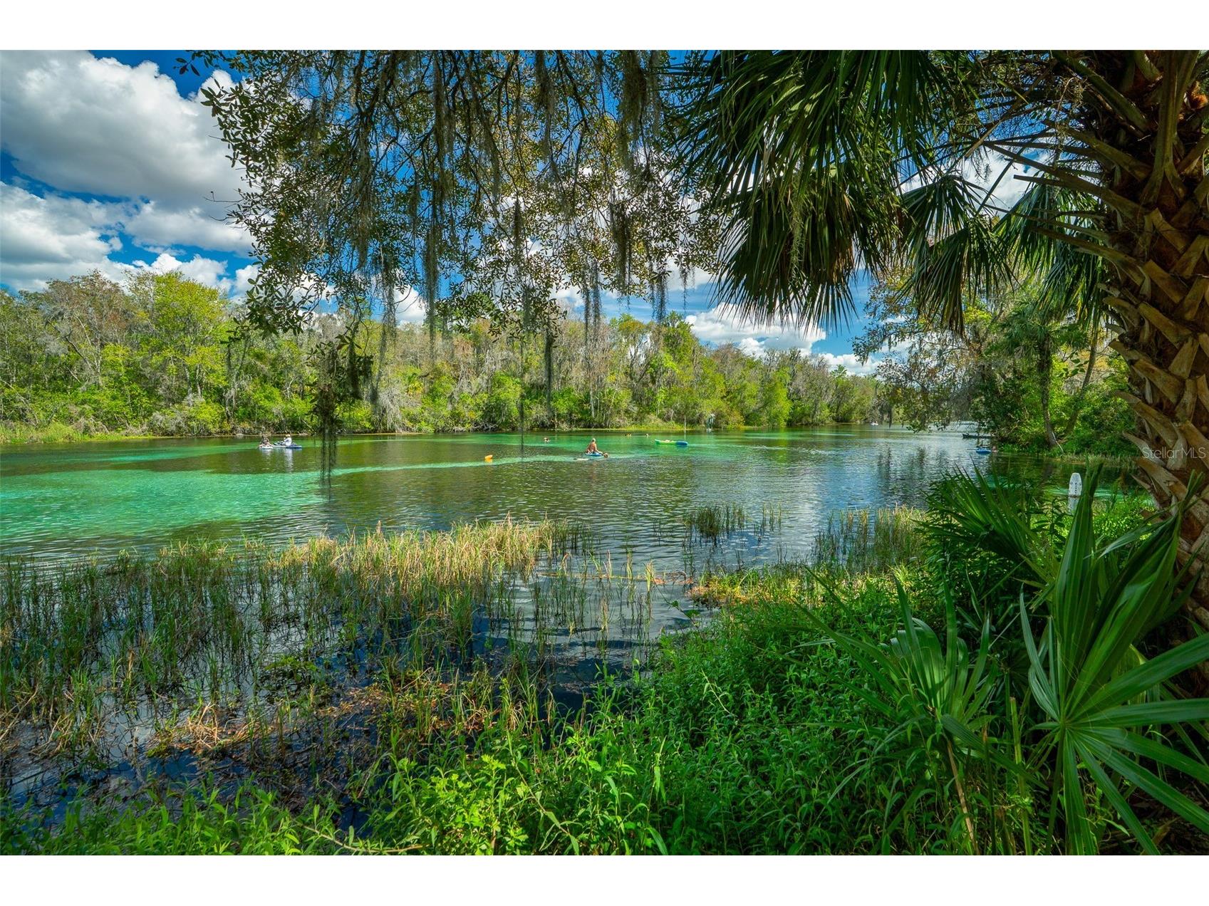 19735 SW 77th Loop Dunnellon FL 34432 OM717245 image90