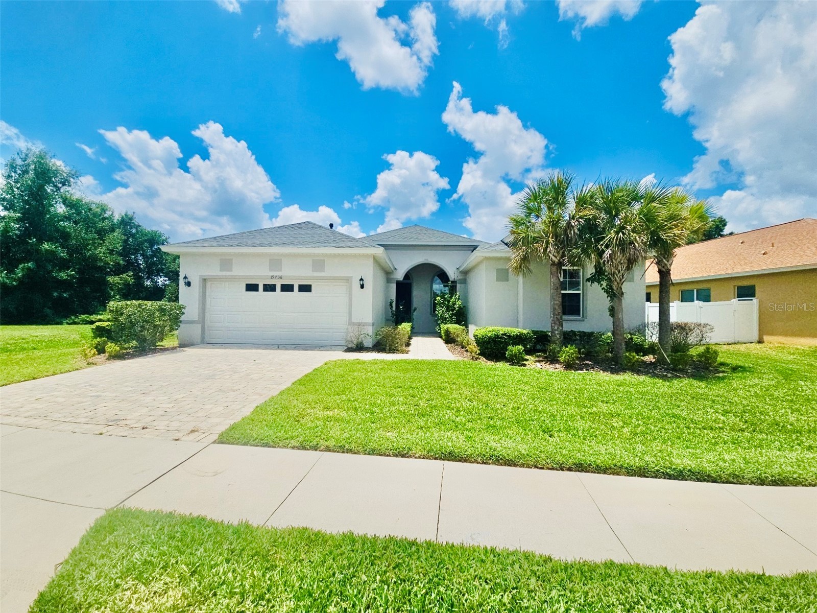 19736 Lonesome Pine Drive Land O Lakes FL 34638 TB8518662 image1