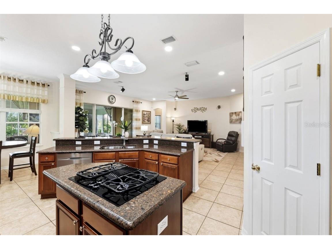 19737 Prince Benjamin Drive Lutz FL 33549 TB8437954 image12