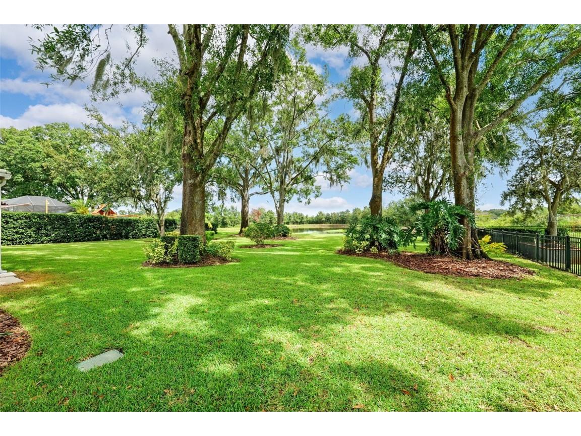 19737 Prince Benjamin Drive Lutz FL 33549 TB8437954 image35