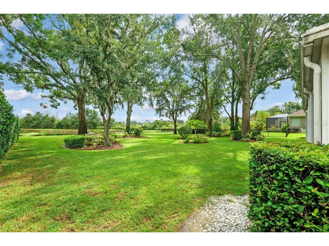 19737 Prince Benjamin Drive Lutz FL 33549 TB8437954 image36