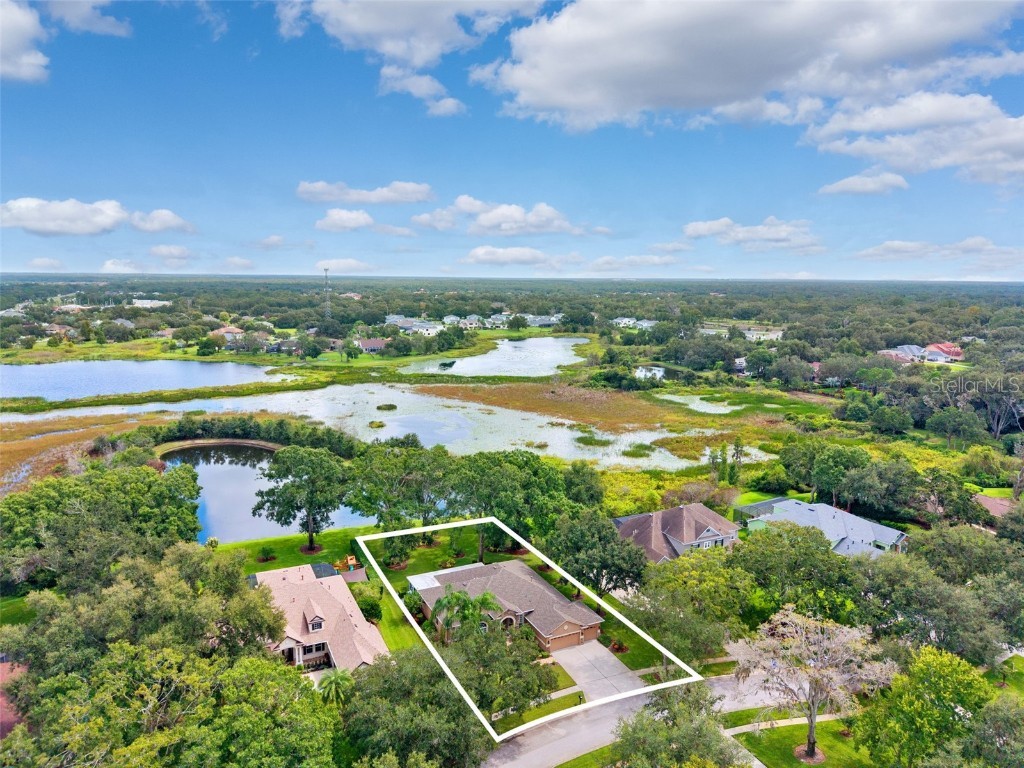 19737 Prince Benjamin Drive Lutz FL 33549 TB8437954 image39