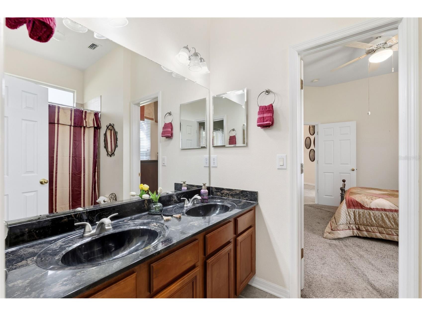 19737 Prince Benjamin Drive Lutz FL 33549 TB8487037 image23